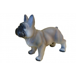 Buldog francuski C718-H37x42cm